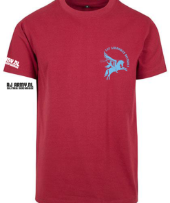 1st Airborne Division klein