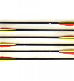 pijlen en darts