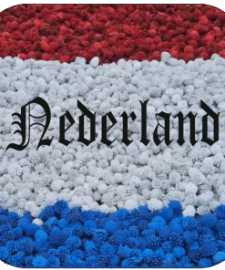 NL Vlag Dennenappel Dodenherdenking magneet